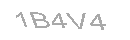 Güvenlik Kodu