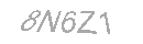 Güvenlik Kodu