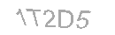Güvenlik Kodu