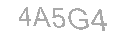 Güvenlik Kodu
