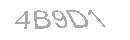 Güvenlik Kodu