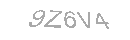Güvenlik Kodu