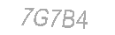 Güvenlik Kodu