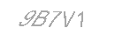 Güvenlik Kodu