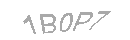 Güvenlik Kodu