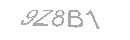 Güvenlik Kodu