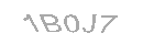 Güvenlik Kodu