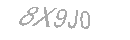 Güvenlik Kodu