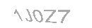 Güvenlik Kodu