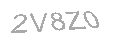 Güvenlik Kodu